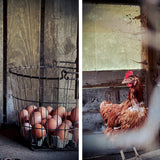 Food Photography on Location: 3 day photo workshop