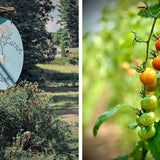 Food Photography on Location: 3 day photo workshop