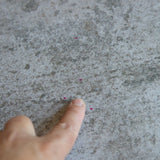 #1034 Puck 3' x 4.5'