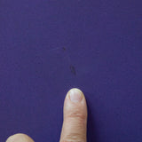 #1022 Lola 3' x 4.5'