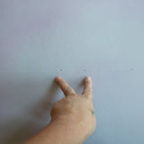 #1050 Maude 3' x 4.5'