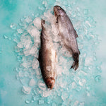 Ariel Food Photography Background with ice cubes and whole fish