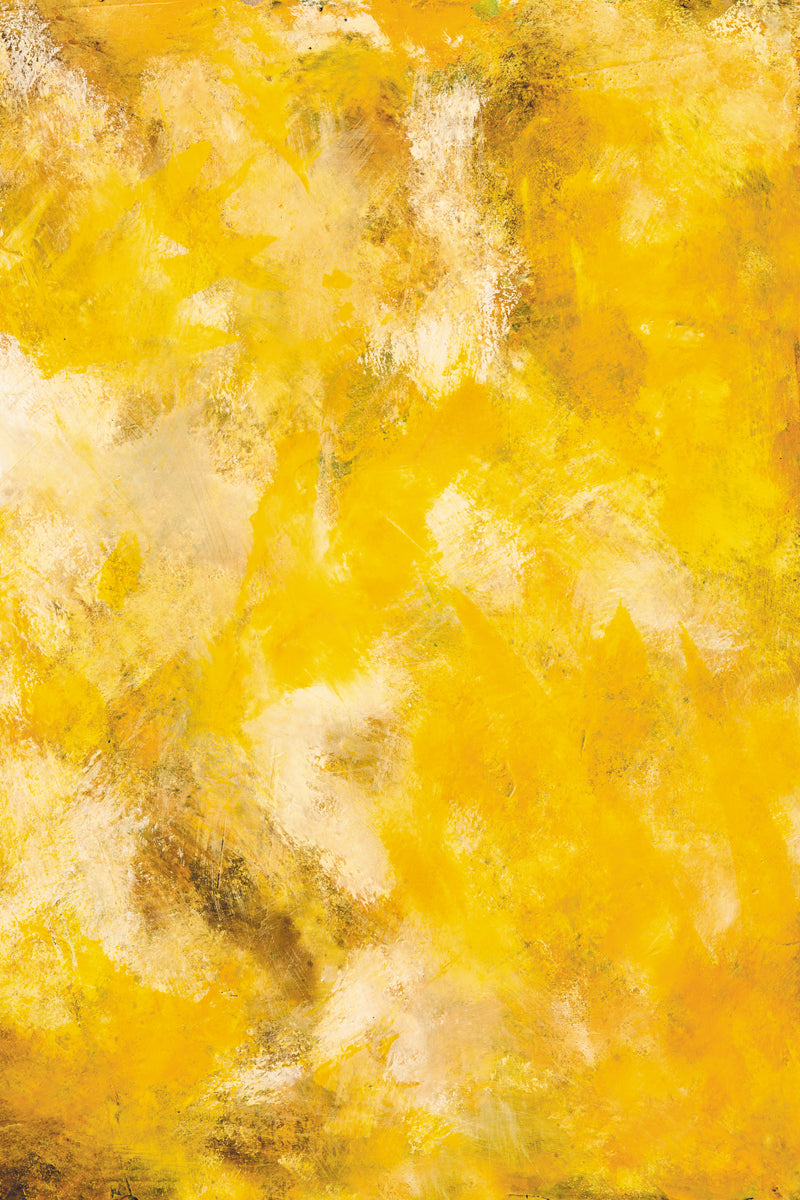 Bold and colorful painted photography surface