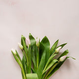 Eve Food Photography Background with tulips