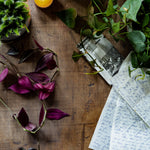 Rustic wood photography surface with plants and hand written letters