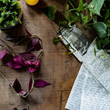 Rustic wood photography surface with plants and hand written letters