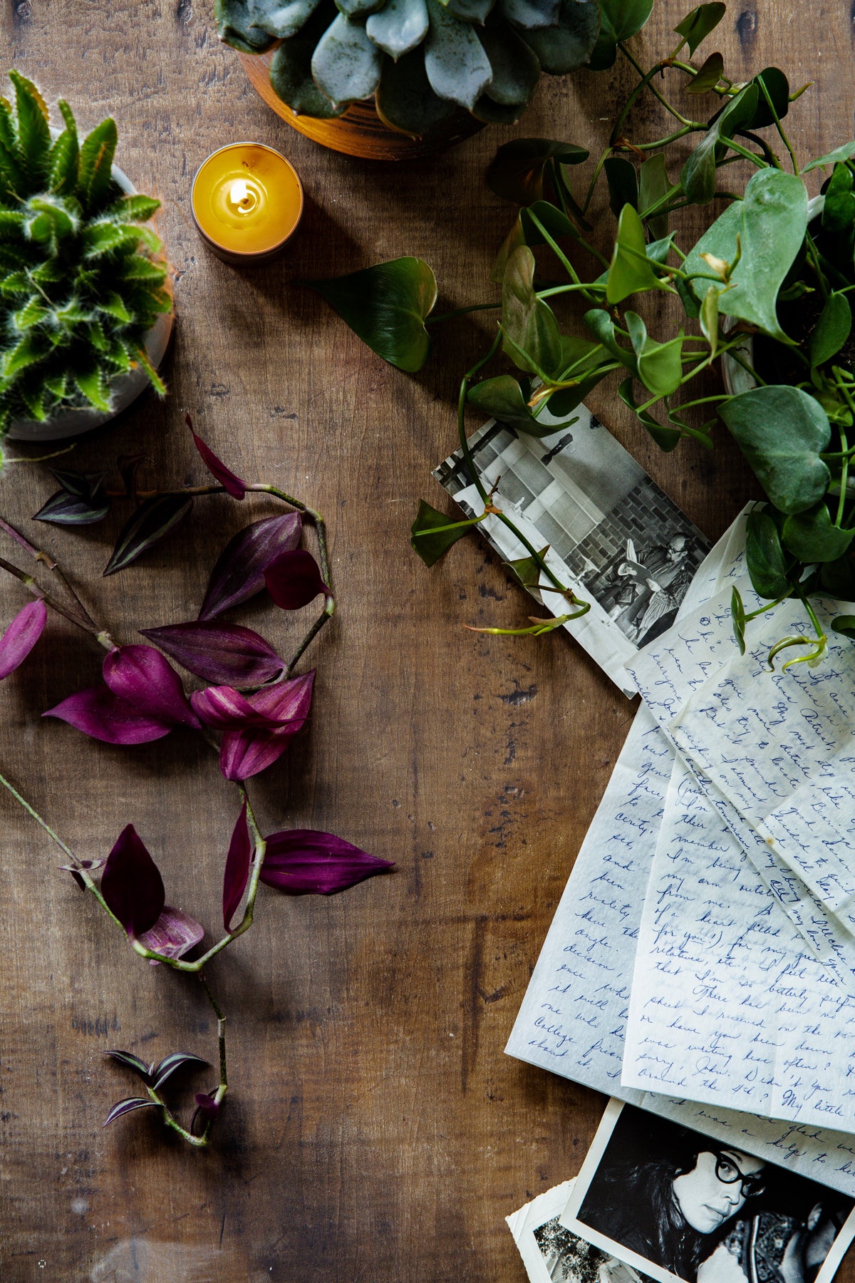 Rustic wood photography surface with plants and hand written letters
