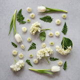 Grace Food Photography Background with flowers