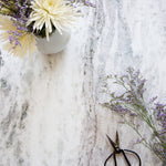 Harlow Food and Product Photography Background with cut flowers and scissors