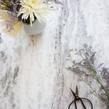 Harlow Food and Product Photography Background with cut flowers and scissors