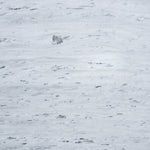 Light and airy gray stone photography surface