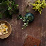 Dark and moody stone photography surface with plants, shells and journal