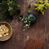 Dark and moody stone photography surface with plants, shells and journal