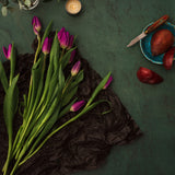 Luca Food & Product Green Photography Background with tulips and pear slices