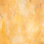 Tuscan-style painted photography surface