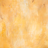 Tuscan-style painted photography surface