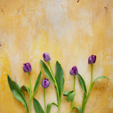 Lucia Food & Product Photography Background with purple tulips