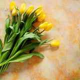 Mae Food & Product Photography Background with yellow tulips