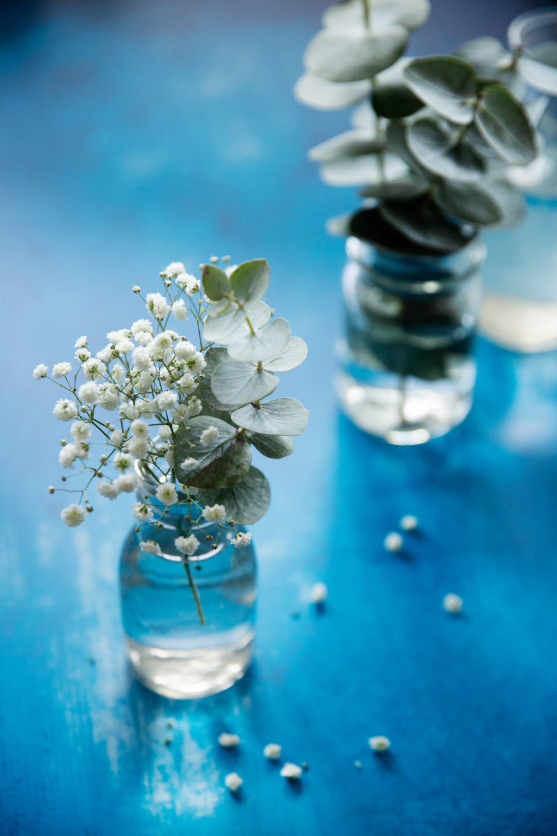 Murray Food Photography Background with vases of flowers