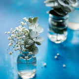 Murray Food Photography Background with vases of flowers