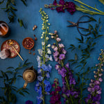 Dark & moody blue photography surface with flowers
