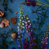 Dark & moody blue photography surface with flowers