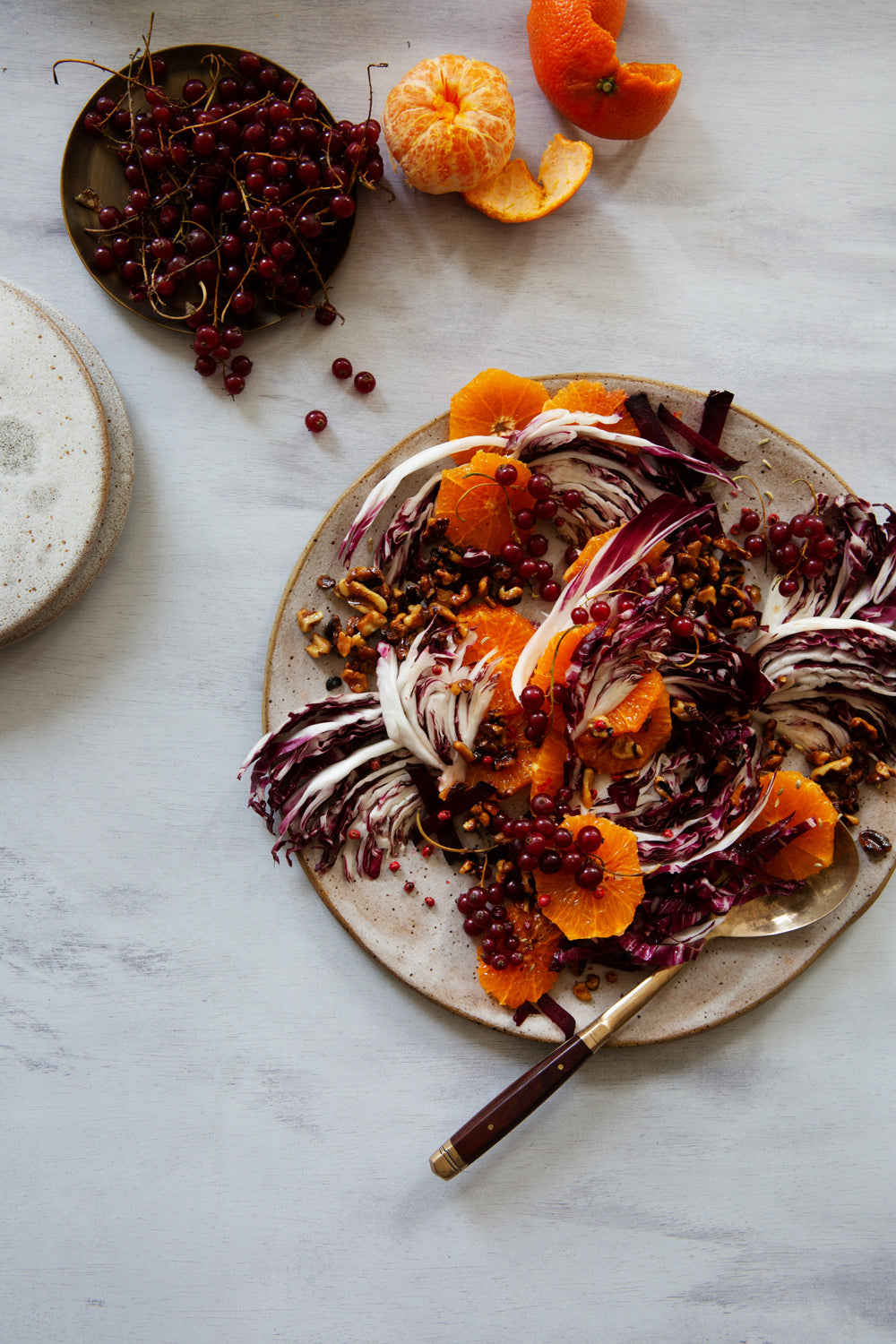 Ophelia Food Photography Background with winter salad