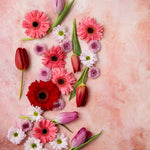 Tallulah Food & Product Photography Background with flowers