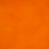 Big Bold Color Bundle