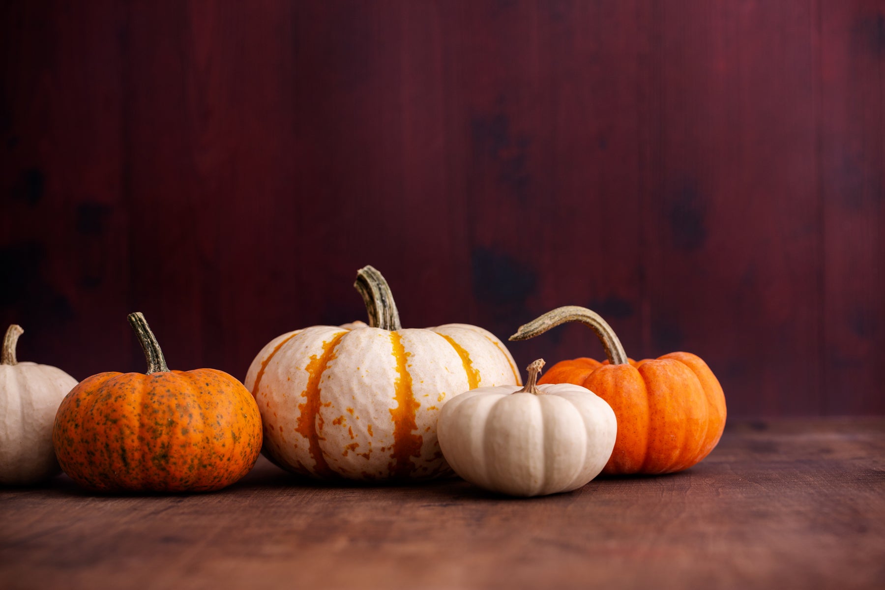 Photo styling for the seasons: FALL