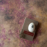 Rigid Original No. 7