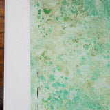 #1260 Frieda 2' x 3'