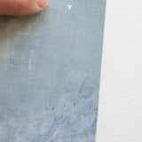 #1241 Aria 2' x 3'