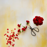 Belinda Food and Product Photography Background with red flowers