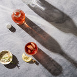 Birch Food Photography Background with vase of flowers, bottle of red liquid, glass of juice and slice of lemon