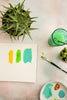 Bowie Food and Product Photography Background with plants, watercolors and paintbrush