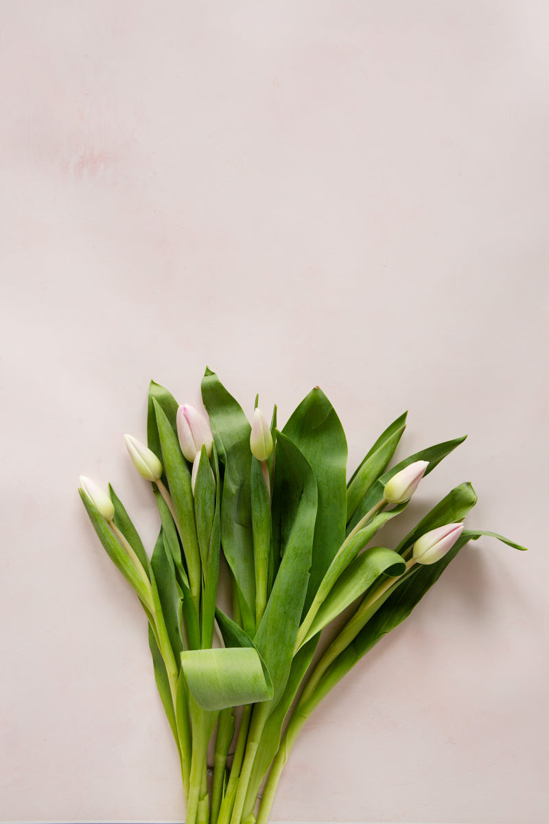 Eve Food Photography Background with tulips