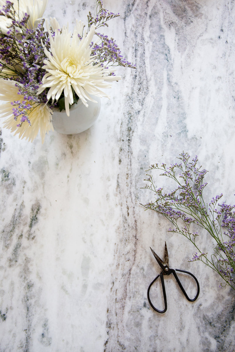 Harlow Food and Product Photography Background with cut flowers and scissors