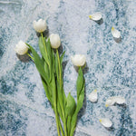 Kai Food and Product Photography Background with tulips