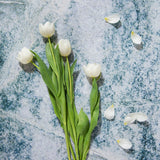 Kai Food and Product Photography Background with tulips