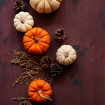 Mac Food Photography Background with pumpkins and pinecones