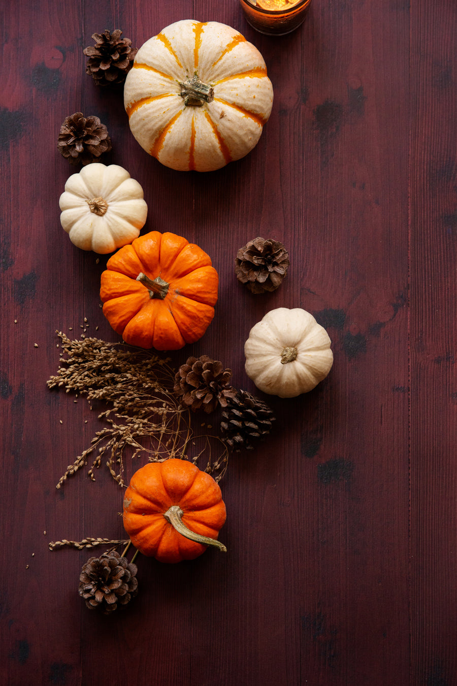 Mac Food Photography Background with pumpkins and pinecones